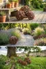 Garten und Terrasse Dekoration Gartenkugel Rustikal Stahl Produktbild-Vorschau 15