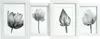 Bilderrahmen Collage Multi Classic Case weiß 55 x 20,8 cm - Produktbild-Vorschau 1