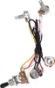 2 Volume 1 Tone 1 Jack 500K Potis 3 Way Switch Wiring Podgląd zdjęcia produktu 1