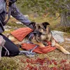 Hurtta Hunde-Schlafsack Sleepover Sleeping Bag cinnamon Produktbild-Vorschau 5