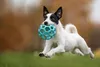 JW HOL-EE roller MEDIUM jouet pour chiens MEDIUM 11,5cm Voir les images du produit 9