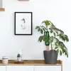Relaxdays Coni per innaffiare, set da 4, coni per bottiglie Anteprima dell’immagine prodotto 2