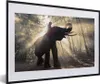 MuchoWow® MuchoWow® Gerahmtes Poster Elefant mit Person in Produktbild-Vorschau 1