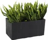 Květináč Lamela | šach | 80 cm | tmavě šedý beton Náhled obrázku produktu 5