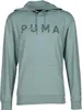 Puma M Cloudspun Branded Hoodie Green Moon Green Moon L Produktbild-Vorschau 8