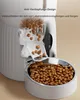 Faroro 4L Voerautomaat voor Katten, Kattenvoerautomaat met Productafbeelding-voorbeeld 5