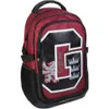 Cerda - Harry Potter Backpack Casual Produktbild-Vorschau 1