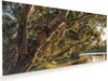 Glasbild 110x55cm in XXL für Wohnzimmer, Schlafzimmer Motiv Produktbild-Vorschau 1