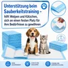 Einweg-Hygieneunterlagen 35×45 cm, super saugfähig, für Produktbild-Vorschau 2