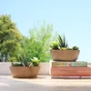 T4U pianta artificiale succulenta verde set di 2 con vaso Anteprima dell’immagine prodotto 3