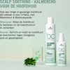 Schwarzkopf Shampoo Schwarzkopf BonaCure Clean Performance Produktbild-Vorschau 5