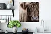MuchoWow® Poster Schottisches Hochlandrind - Schottische Produktbild-Vorschau 3