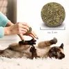 Katzenminze Spielzeug aus 100% natürlicher Katzenminze Produktbild-Vorschau 3