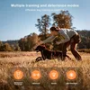 A woman is training a dog in a grassy field. Produktbild-Vorschau