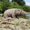 Rappa Plüsch Nilpferd Kuscheltier 30 cm umweltfreundliches Produktbild-Vorschau 8