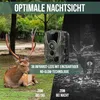 Strex Wildkamera mit Nachtsicht - 120 MP 4K ULTRA HD - Produktbild-Vorschau 3