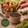Pflanzensamen, Schlauchpflanze Mix Produktbild-Vorschau 4