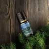 Duftöl 10ml in Glasflasche - Duft: Fichte Produktbild-Vorschau 2