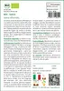 SAFLAX  -- Salvia - 60 semi - Con substrato - Salvia Anteprima dell’immagine prodotto 3