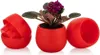 Lot de 7 pots de fleurs avec drainage 0,55 L pour cactus, Voir les images du produit 13