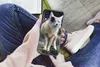 MuchoWow® Handyhülle Schutzhülle Hülle für Samsung Galaxy Produktbild-Vorschau 3
