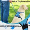 Postroj pre psov, modrej farby, veľkosť S Náhľad obrázku produktu 7