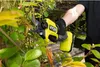 Sécateur RYOBI Ry18scxa-0 L.2 cm 18 V Voir les images du produit 4