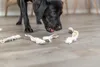 TRIXIE Kausnack Kaninchenohren mit Fell für Hunde - diverse Produktbild-Vorschau 4
