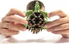 ALEXANDER Origami 3D Tartarughe 23466 Anteprima dell’immagine prodotto 12