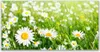 Tulup Leinwand-Bilder 140x70 Wandbild Canvas Kunstdruck Produktbild-Vorschau 1