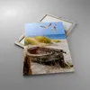 Bild auf Leinwand - Leinwandbild - Einteilig - Strand Möwen Produktbild-Vorschau 2