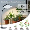 A grow light positioned above several potted plants, with diagrams illustrating plant growth stages at the bottom. Produktbild-Vorschau