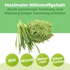 Gerstengras Pulver in Rohkostqualität 500g Produktbild-Vorschau 3