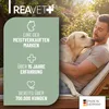 REAVET 4in1 Complete Dog 250g – Rundumversorgung für Hunde Produktbild-Vorschau 5