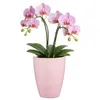 3 x  Orchideentopf aus Keramik Ø 13,5 cm x 17 cm hoch – Produktbild-Vorschau 5