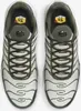 A top-down view of a pair of Nike Air Max Plus sneakers. Produktbild-Vorschau