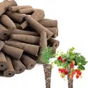 PLANT STARTING KIT INSPEKT Stecklinge 50 Stück HYDROPONIC Produktbild-Vorschau 7