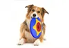 Bama Trotto Disk Hundefrisbee Dog Disc - Mehrfarbig Frisbee Produktbild-Vorschau 5