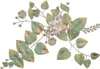 Wanddekoration "Blüten und Blätter" Matt grün Produktbild-Vorschau 1