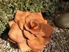 Edelrost Rose Produktbild-Vorschau 2