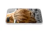 MuchoWow® Handyhülle Schutzhülle Hülle für iPhone 8 Produktbild-Vorschau 5