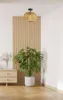 A room corner with a wooden dresser, a large potted plant, and a woven pendant light. Náhled obrázku produktu