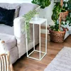 A white metal side table with a potted plant on it, placed next to a sofa and other plants in baskets. Náhled obrázku produktu