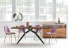 TPFLiving Tisch 200x100 cm Platte recyceltes Teak, Gestell Produktbild-Vorschau 2