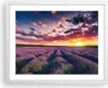 Gerahmtes Poster - Weißer Rahmen - Lavendel Berge Feld - Produktbild-Vorschau 1