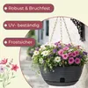 Blumenampel Blumentopf Hängend Hängeblumentopf Pflanzschale Produktbild-Vorschau 4