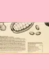 KoRo I  Nut Butter Cups Salted Peanut 12 x 3 x 13 g Produktbild-Vorschau 3
