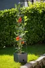 Meister Pflanzturm 150 x 25 x 25  cm Mit Rankhilfe 2,5 L Produktbild-Vorschau 4