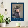 Der Waldrapp - Der etwas andere Vogel (Wandkalender 2027 Produktbild-Vorschau 3