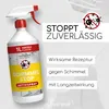 naturetrend Schimmelentferner – XL Vorteilsflasche 1L – Produktbild-Vorschau 3